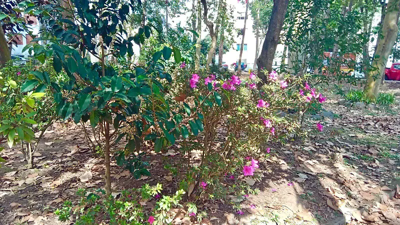 Vecinos de Jardines de Xalapa